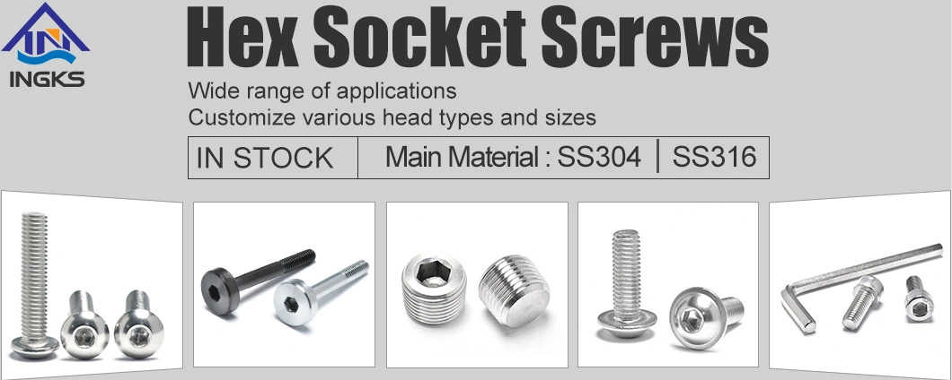 Ss 304 316 Stainless Steel M3 M4 M5 Machine Threads Button Head Hex Socket Screw