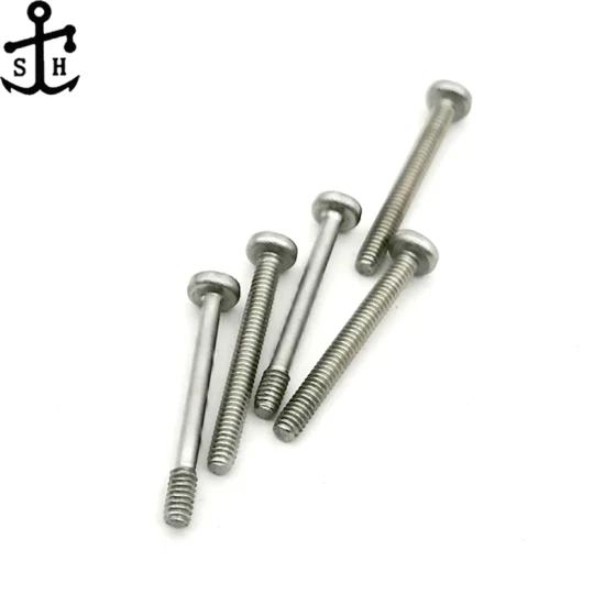Stainless Steel Customized Micro Machine Screw for Glasses Made in China